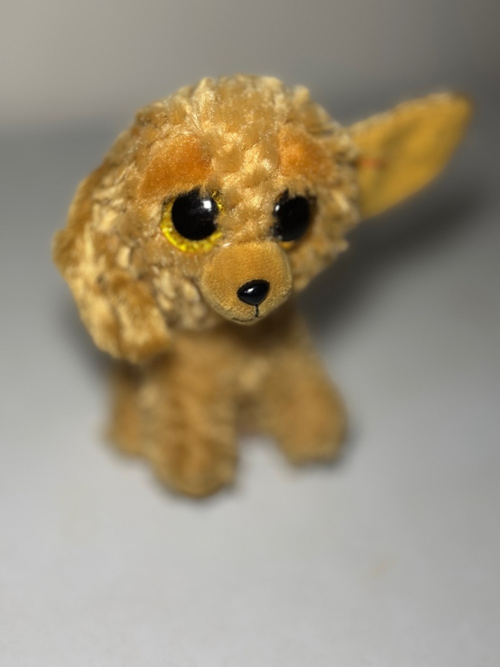 Ty Beanie Boos “Noodles” Goldendoodle Plush – Glitter Eyes Dog (7”) - Picture 4 of 12